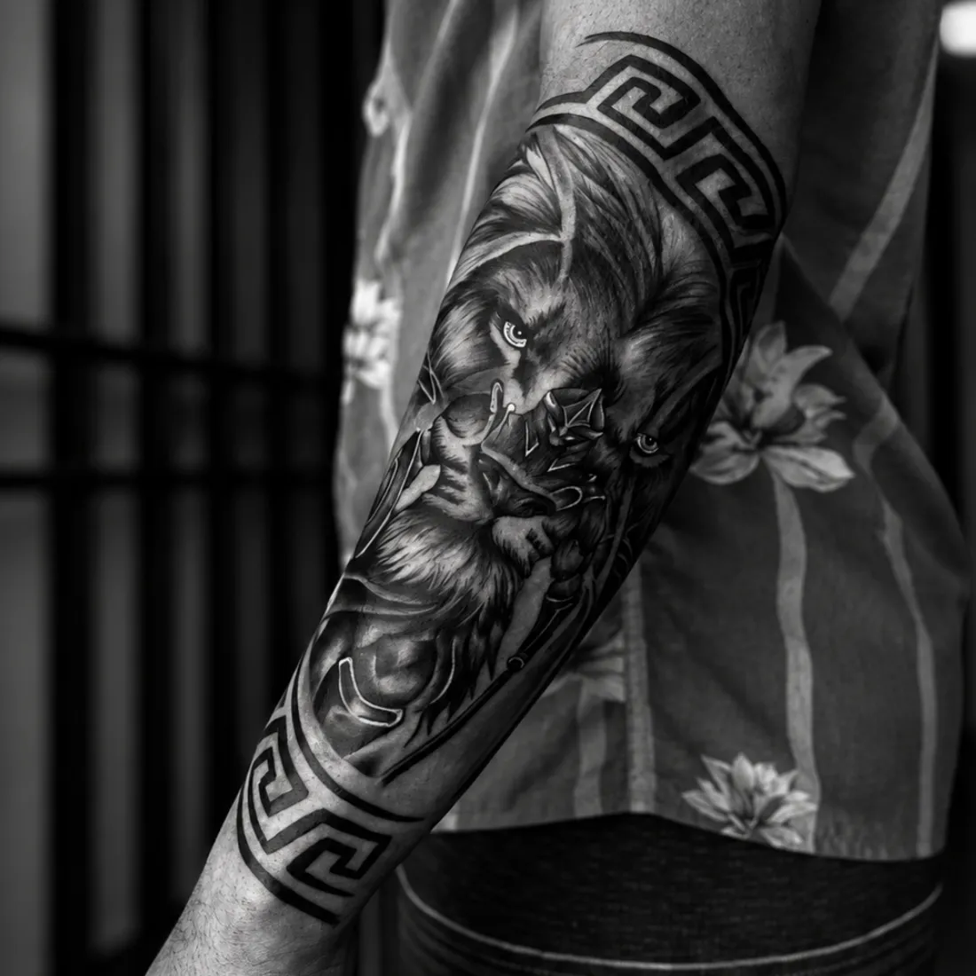 Tatuagem cicatrizada de leão com braceletes de grega no antebraço, em preto e cinza